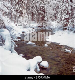 winter snow along lost creek near swan lake, montana Stock Photo