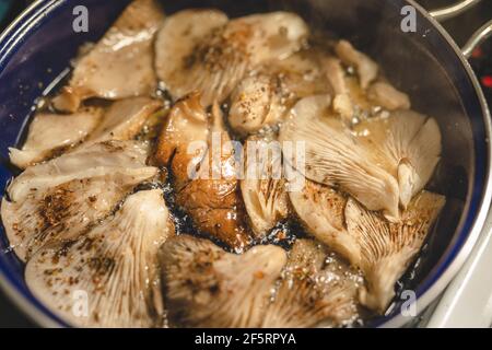 Oyster Mushroom Pleurotus ostreatus close up cooking in the fry pan Stock Photo