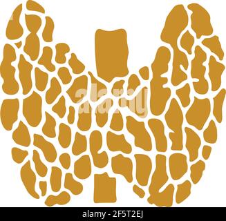 Thyroid illustration logo icon vector isolated on white background Stock Vector
