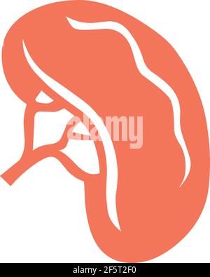 Spleen illustration logo icon vector isolated on white background Stock Vector