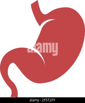 Stomach illustration logo icon vector isolated on white background Stock Vector