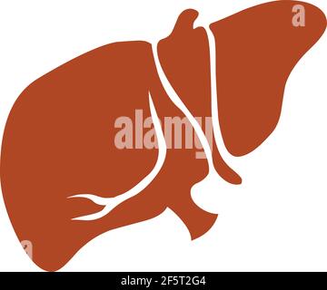 Liver illustration icon logo vector isolated on white background Stock Vector