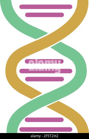 DNA illustration logo icon vector isolated on white background Stock Vector