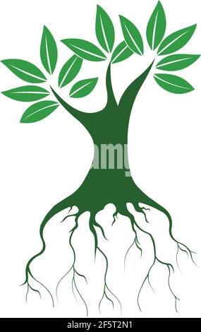 Big tree roots logo icon vector islated on white background Stock Vector