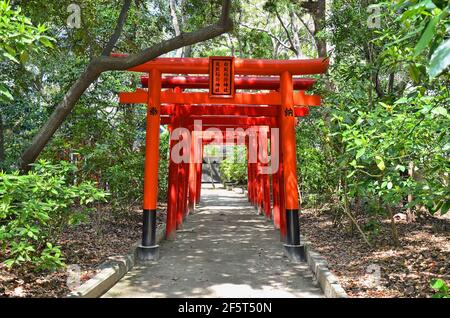 Torii at Sumiyoshi Shrine in Fukuoka city, Japan. This