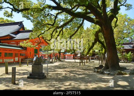 Sumiyoshi Shrine in Fukuoka city, Japan. This shrine is dedicated to safe travel by sea and is presumably the oldest shinto shrine in Kyushu. Stock Photo