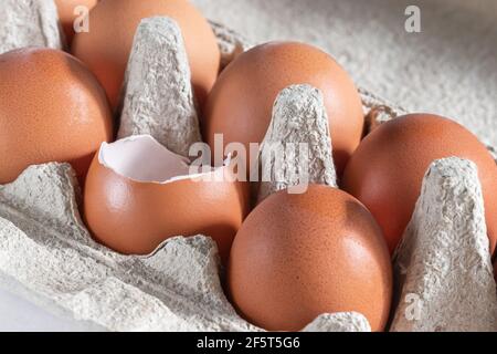 Fresh chicken eggs in a package. One egg is broken. Stock Photo