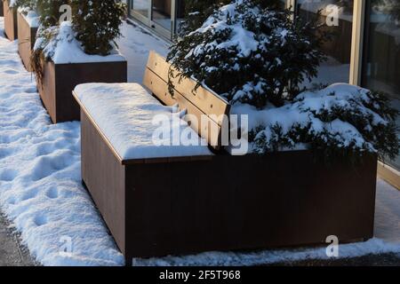 Real charming benches in snow sunset light winter best evening Stock Photo