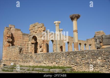 Volubilis is a Roman archaeological site,Morocco's best known archaeological site and is included in the UNESCO World Heritage List Stock Photo