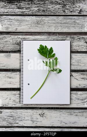 Top view of green sprig of fresh parsley placed on opened notepad with blank pages on wooden table Stock Photo