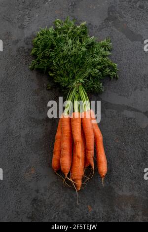 From above of bunch of ripe carrots placed on black shabby background in studio Stock Photo