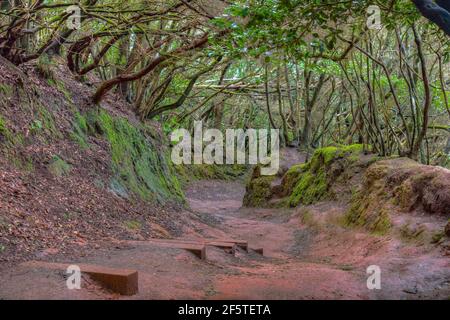 Natural trail leading through Anaga mountains at Tenerife, Canary islands, Spain. Stock Photo