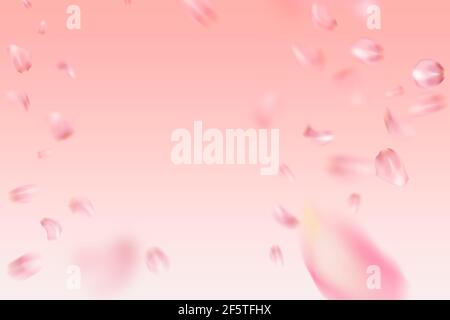 Sakura petals falling down. Romantic pink flowers borders. Flying ...