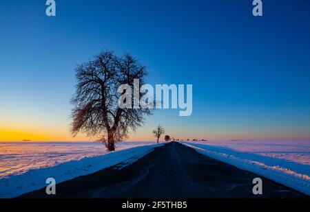Empty road through snow-covered field after a blizzard at sunset. Clear sky, golden light. Idyllic rural scene. Stock Photo