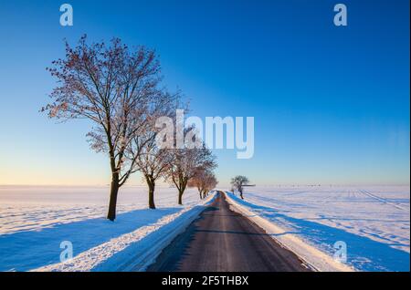 Empty road through snow-covered field after a blizzard at sunrise. Clear sky, golden light. Idyllic rural scene. Stock Photo