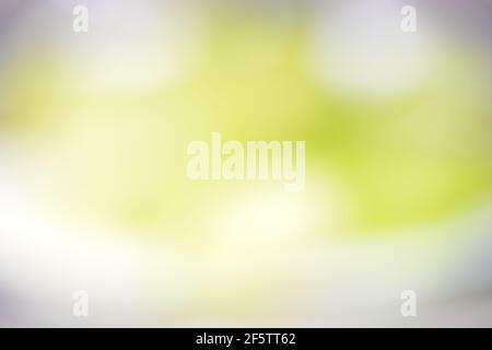 gradient green background for wallpapers and graphic designs, blurred abstract green gradient pastel light background smart blurred pattern. Stock Photo
