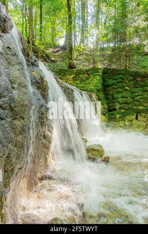 Small waterfall of a wild stream on a sunny summer day. Clear water of a creek in a beech forest  flows over an old dam, built as torrent control. Stock Photo