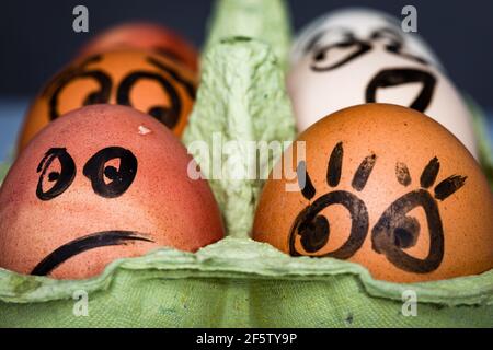 Crazy eggs terrified. Scared faces peering out of the egg tray. Funny Easter stories. Stock Photo