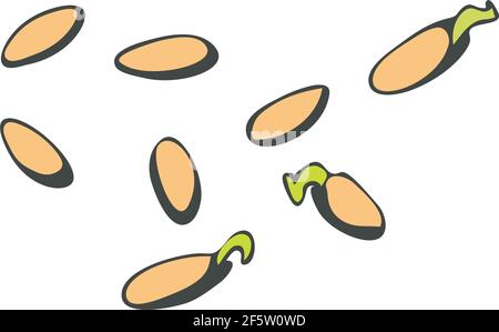 Cucumber seeds, closed and sprouted in a doodle style on a white background. Vector illustration Stock Vector