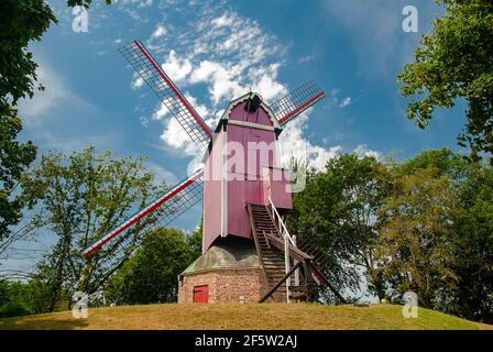 Bruges Brugge Belgium Flanders Nieuwe Papegaai wood windmill Stock Photo