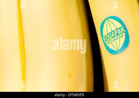 Equapak label on a bunch of bananas from Ecuador for sale in a UK supermarket. Stock Photo
