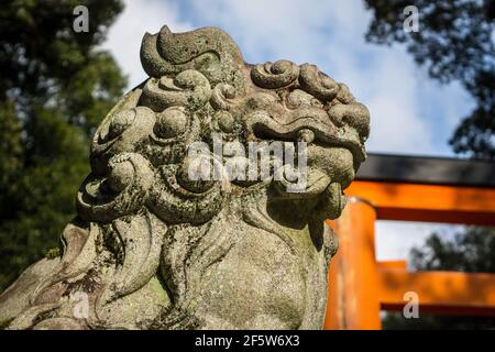 A komainu lion-dog statue guarding the entrance to Kasuga Taisha Grand Shrine, a major shinto shrine in Nara, Japan Stock Photo