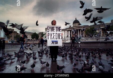 SAVE THE PIGEON DEMO IN TRAFALGAR SQUARE OCTOBER 2000 Stock Photo - Alamy