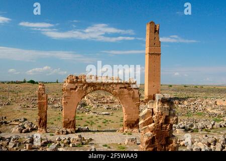 Ruins of Harran University, Sanliurfa Province, Urfa, Northern Mesopotamia, Mesopotamia, Harran, Turkey Stock Photo