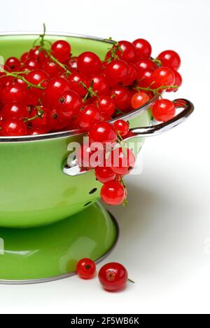 Redcurrants in kitchen sieve ( Ribes rubrum) , strainer, carbon copy Stock Photo