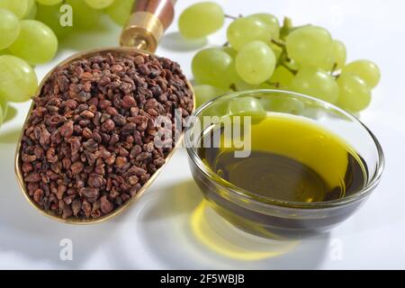 Grape seeds and grape seed oil (Vitis vinifera subsp. vinifera), grape seed oil Stock Photo