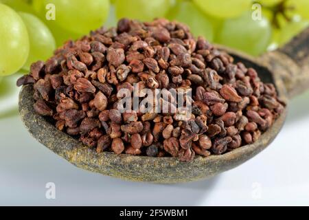 Grape seeds (Vitis vinifera subsp. vinifera) Stock Photo