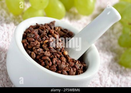 Grape seeds (Vitis vinifera subsp. vinifera) Stock Photo