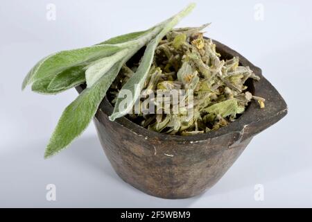 Greek Mix Mountain Tea Malotira - Cretan Remedy - 460g(16.3oz) - Helps