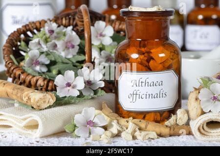 Althaea officinalis (Althaea officinalis officinalis) Althaea officinalis roots and flowers Stock Photo