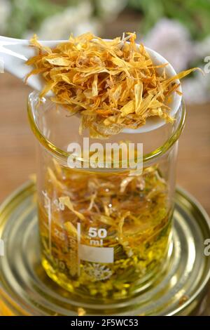 Production Yarrow and marigold ointment (Calendula officinalis) Yarrow, marigold (Achillea millefolium) (Millefolii flos)