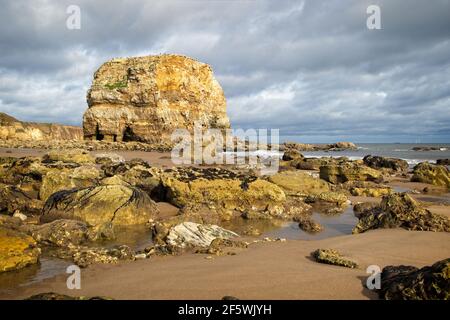 Marsden Rock is a sea stack standing on the North East coast of England near to Whitburn, Sunderland in Tyne and Wear. Stock Photo