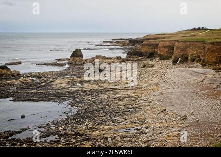 Looking south down the North Sea coast from near the Souter Lighthouse showing the pebbly, rocky beach and cliff faces. Stock Photo