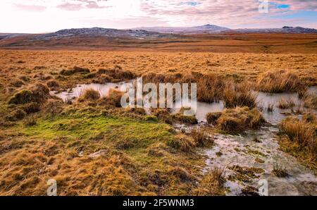 A rainfall pond on the ridge running between Oke Tor and Belstone Tors, Dartmoor National Park, Devon, England, UK. Stock Photo