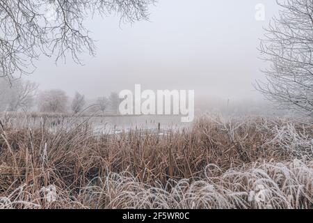 Frozen lake in snowy forest landscape. White sky soft sunset sunrise light, idyllic white nature. Winter scow scenery, seasonal nature Stock Photo