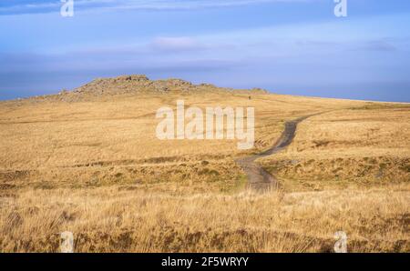 A walker with dog descending Rowtor or Row Tor, an accessible tor in the north part of Dartmoor National Park, Devon, England, UK. Stock Photo