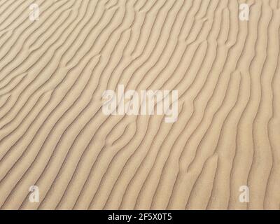 beautiful desert sand background with wind ripples lines or waves effects, transverse sand dune close up. Stock Photo