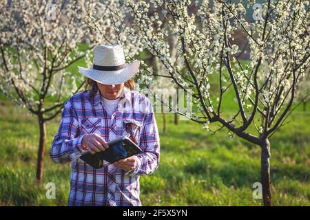 Farmer using digital tablet while inspecting blooming fruit trees in orchard. Agronomist using modern technology during checking organic farm Stock Photo