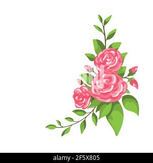 Beautiful Pink Rose Stems. Isolated on White Background. Vector  Illustration. EPS10 Stock Vector Image & Art - Alamy