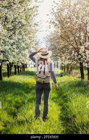 Woman walking in blooming cherry orchard. Traveling in nature at springtime. Woman tourist with straw hat and backpack between fruit trees Stock Photo