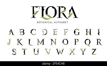 Vector Floral Alphabet with decorative leafs elements. Modern elegance font with uppercase letters. Vector Illustration. Stock Vector