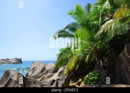 Grand L'anse, La Digue, Seychelles Stock Photo - Alamy