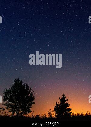Silhouettes of low trees against the background of the night starry sky and the setting sun. Stock Photo