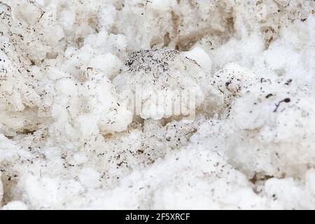 Early spring time dirty gray melted snow with sand pattern texture close-up Grunge background Stock Photo