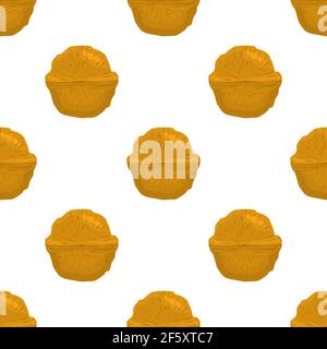 Illustration on theme big pattern identical types walnut, nut equal size. Walnut pattern consisting of natural nut for colored print on wallpaper. Abs Stock Vector