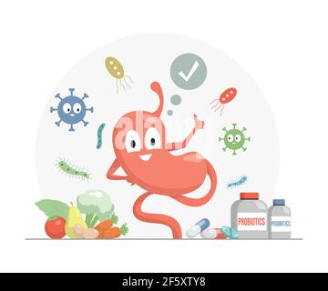 Happy stomach showing thumbs up vector flat cartoon illustration. Vitamins, supplements, and minerals for health and good digestion concept. Fruits and bottles with probiotics pills. Stock Vector